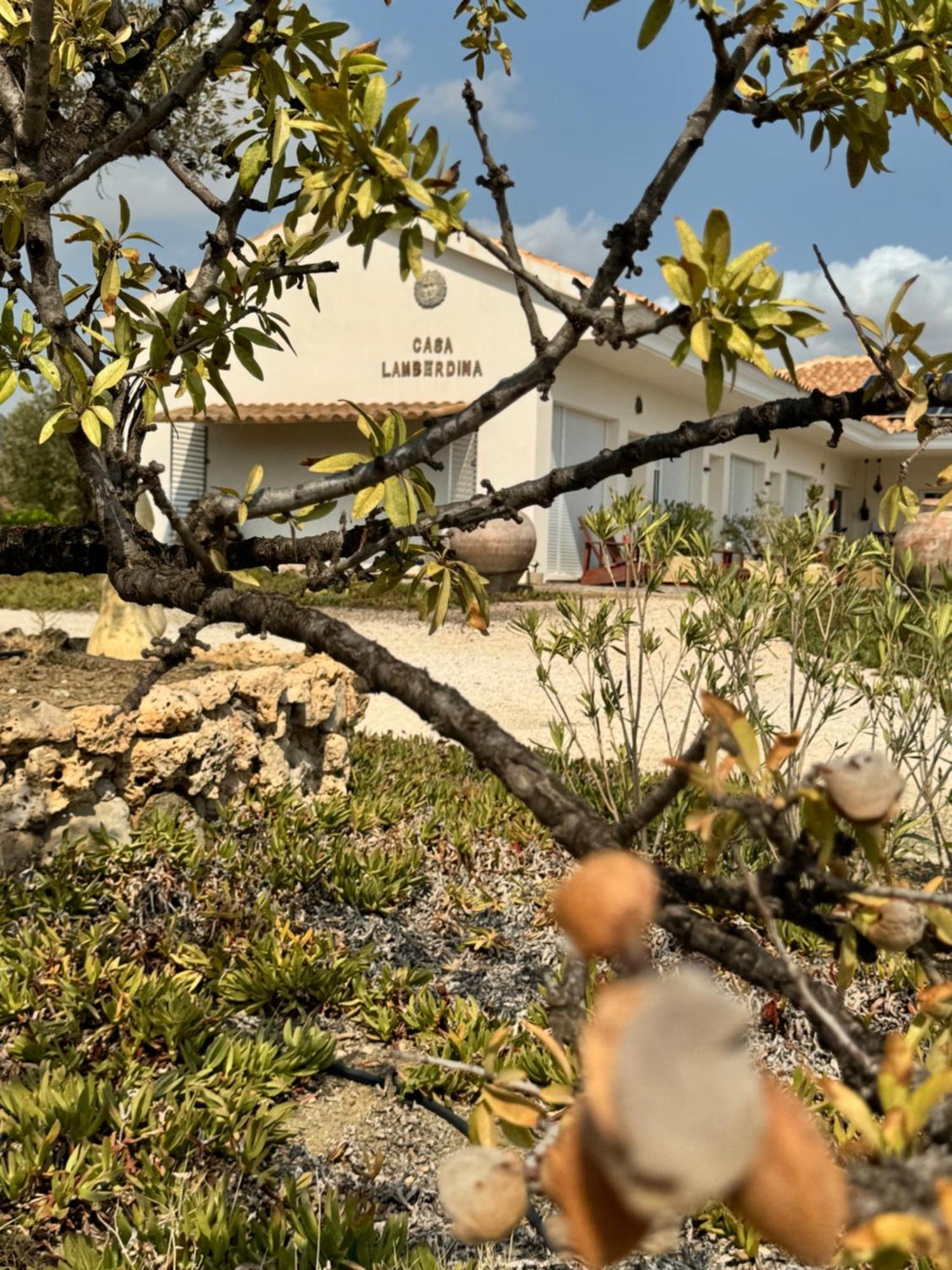 Casa Lamberdina Bed & Breakfast Fuensanta  Bagian luar foto